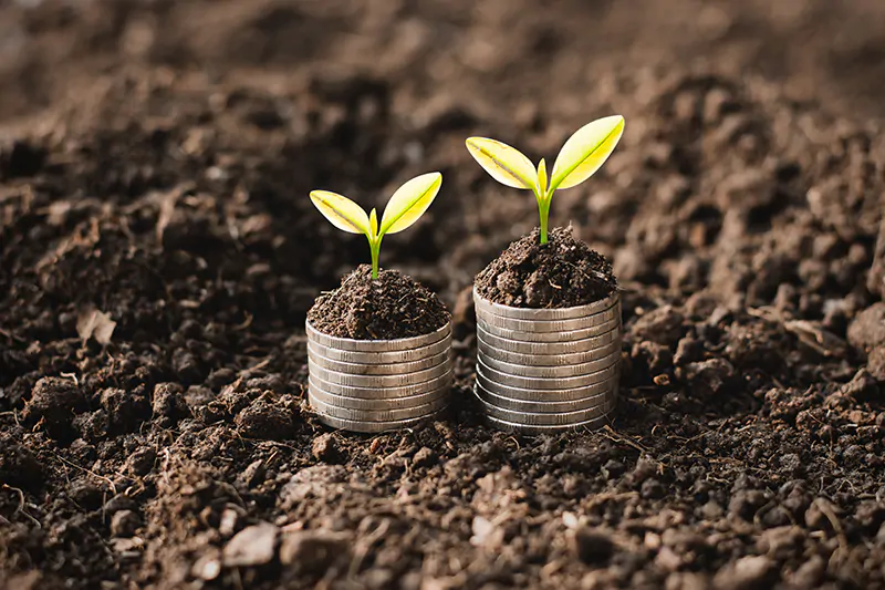Viabilidade Energético- Financeira